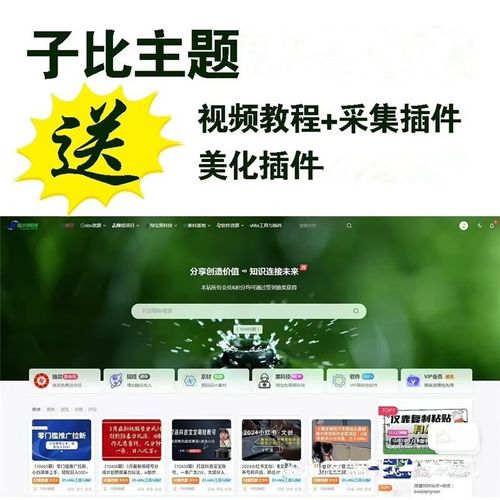 网创教程自动采集wordpress插件子比主题 大叔源码_游戏源码_手游源码_页游源代码_网游服务端_端游源码免费下载大叔技术分享